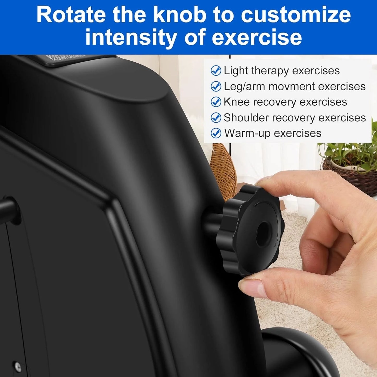 Multi-Function Bike Stepper